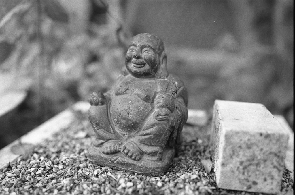 Analoge Schwarzweißfotografie