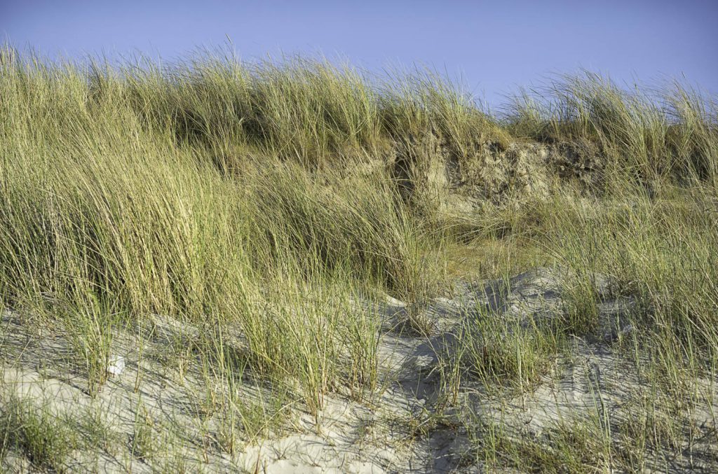 Sankt Peter Ording Nordsee
