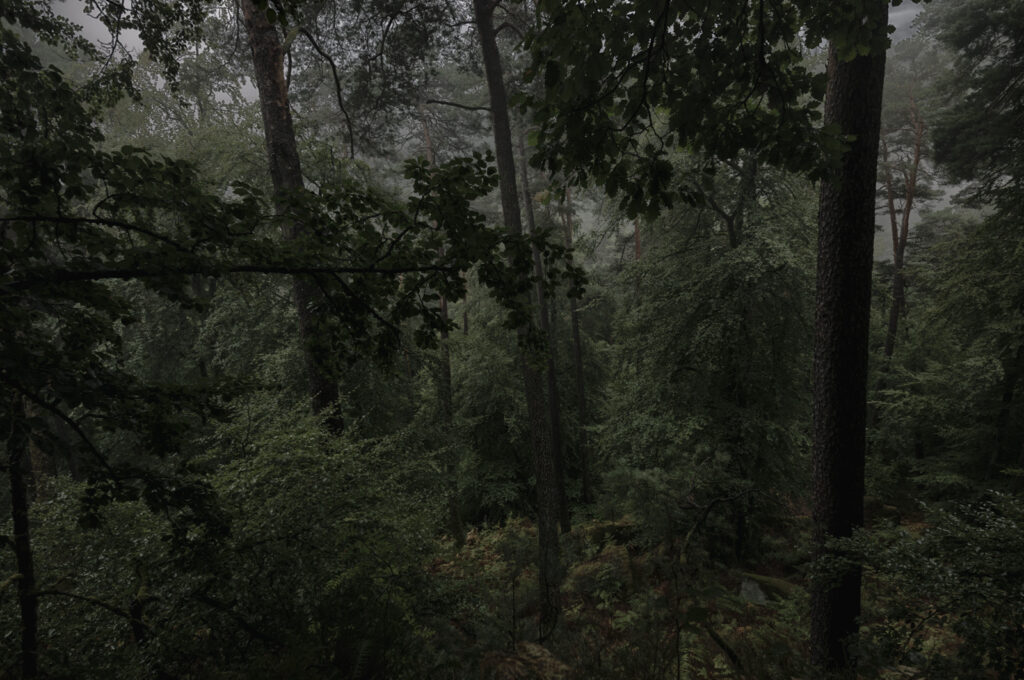 Teufelstisch Eppenbrunn Pfälzer Wald