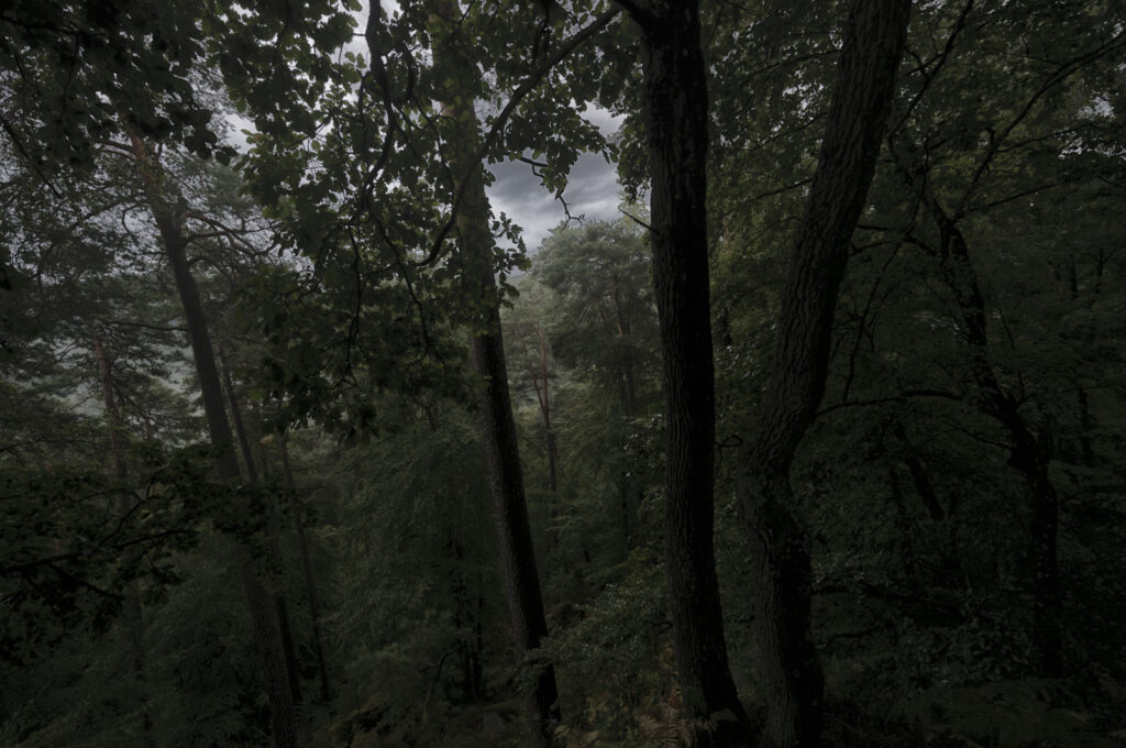 Teufelstisch Eppenbrunn Pfälzer Wald