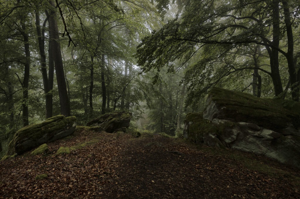 Teufelstisch Eppenbrunn Pfälzer Wald