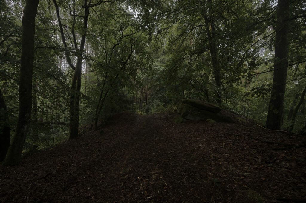 Teufelstisch Eppenbrunn Pfälzer Wald