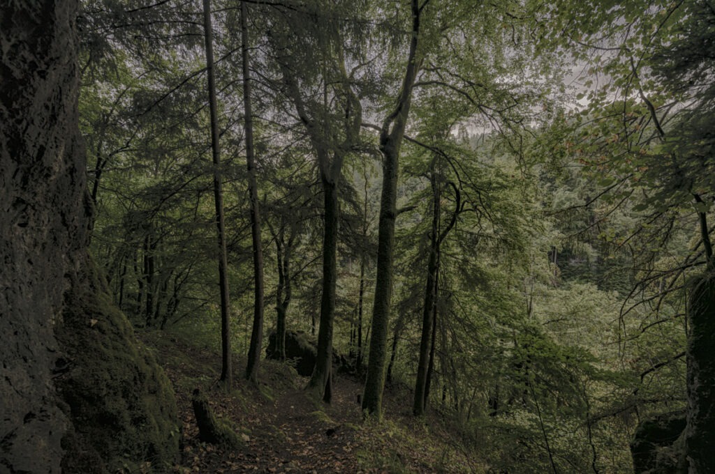 Schottersmühle Höhle Fränkische Schweiz